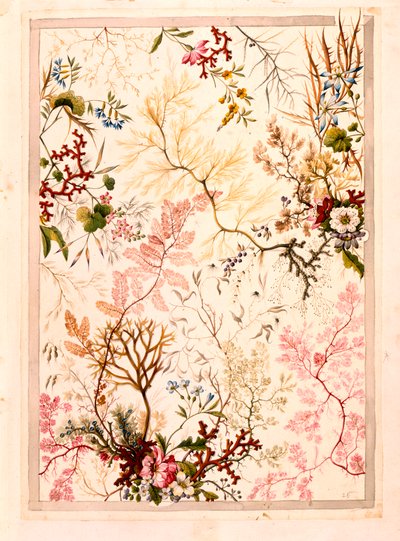 Marble end paper by William Kilburn